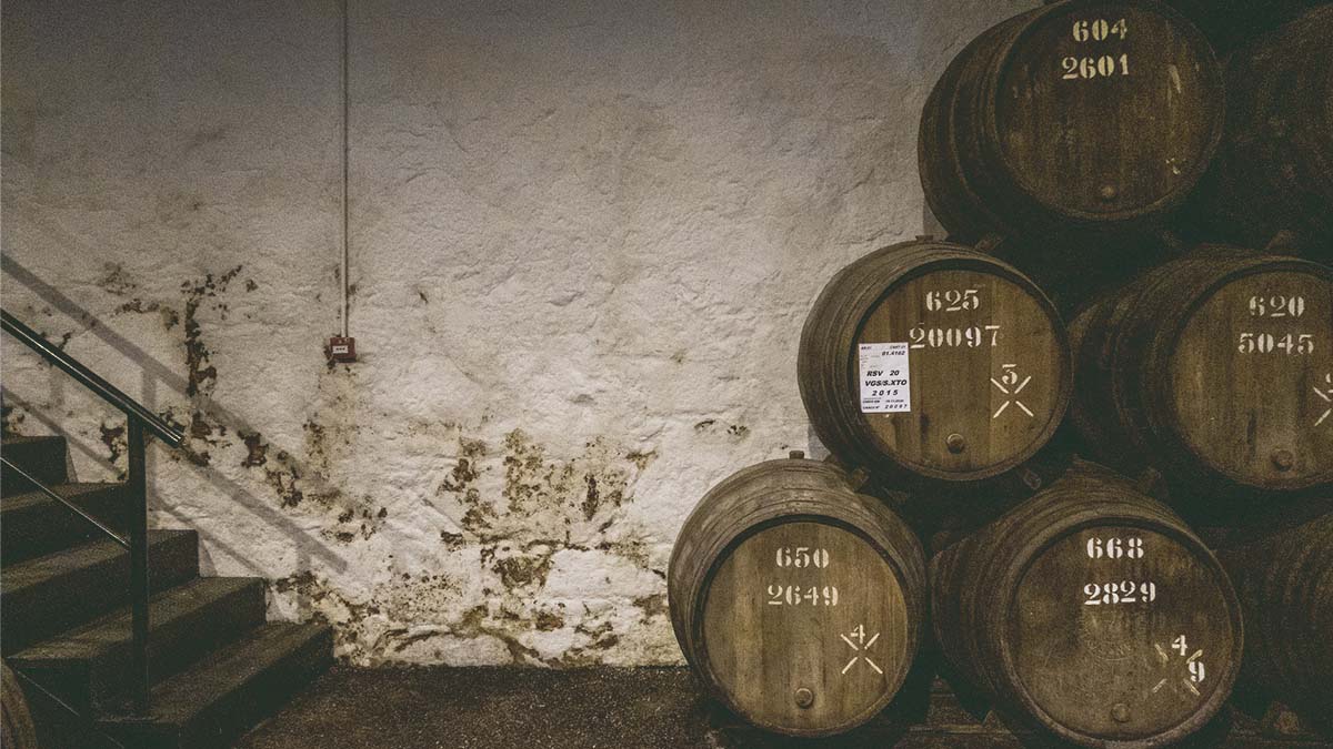 Beer making & packing latest technology machines