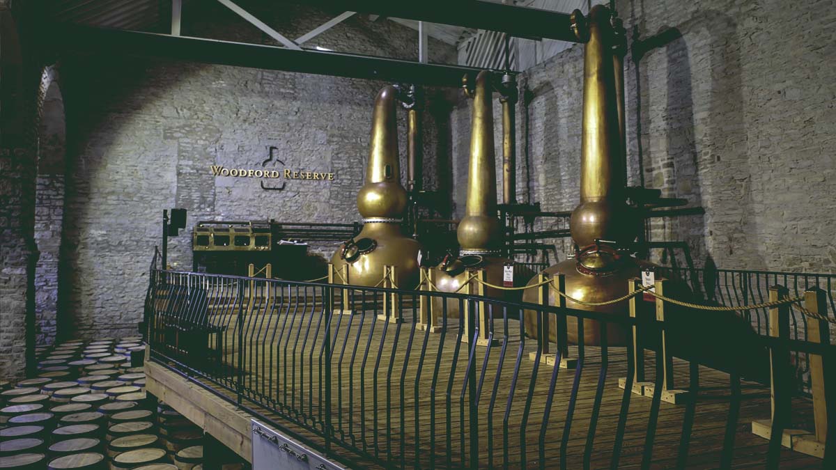 Which kind of Beer gives us a great experience