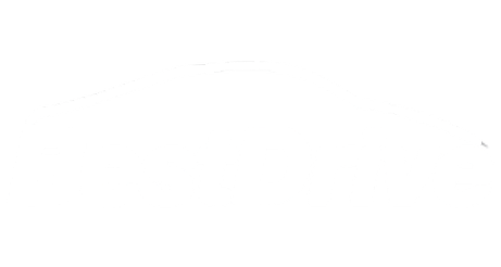 logo bestdrive blanc